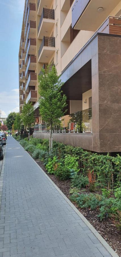 Apartment Alios Lux براشوف المظهر الخارجي الصورة